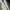 Vintage 2000s Oakley wiretap photo 10