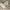 Blankroom wide chinos photo 5