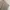 Blankroom wide chinos photo 7