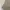 Blankroom wide chinos photo 6