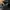 Coach black leather handbag photo 10