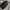 Coach black leather handbag photo 3