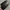 Coach black leather handbag photo 5