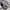 Vintage Y2K Shoulder bag Wanita white black photo 8