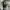 Vintage Y2K Shoulder bag Wanita white black photo 2