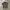 Arc’teryx Polo Shirt photo 1