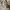 Coach Vintage Shoulder bag Wanita white brown photo 8