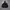 Converse Parka Jacket Multi Pocket photo 1