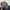 Converse Parka Jacket Multi Pocket photo 9