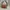 Coach Vintage Shoulder bag Wanita brown photo 2