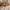 Coach Vintage Shoulder bag Wanita brown photo 4