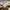 Dickies Casual Casual shirt Pria khaki photo 4