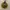 giok stone necklace  photo 4