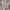 Dickies Casual Casual shirt Pria multicolor photo 1