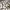 Dickies Casual Casual shirt Pria multicolor photo 2