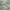 Nautica Sail White  photo 5