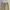 Workpant Dickies 874 USA Series - Khaki photo 3
