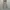 Workpants Dickies 874 FLEX photo 1