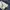 Workpant Dickies 874 Darknavy photo 3