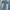  Jeans Baggy Wide Leg Blue Wash photo 3
