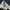 Workpant Dickies 874 FLEX Original Fit - Darknavy photo 6