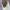 Maison Margiela Vintage Avant Garde Heels Wanita white photo 5
