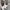 Maison Margiela Vintage Avant Garde Heels Wanita white photo 6