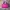 Totebag Tnf duffle bag outdoor photo 4