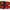 Adidas Sneakers Pria Red