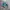 Vans Authentic OG 44 DX Anaheim Blue Ocean White photo 2