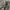 Dickies carpenter black long work wear pants photo 9