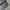 Dickies Carpenter black work wear pants photo 5