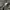 Dickies Carpenter black work wear pants photo 9