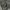 Dickies Carpenter black work wear pants photo 8