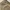 Uniform Bridge Fatigue Pants photo 3