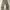 Uniform Bridge Fatigue Pants photo 4