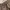 Edwin 505 Khaki Baker Pants photo 7