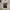 Crewneck Armani Exchange Big Logo