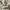 Bean pole vintage shirts linen photo 5