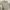 Bean pole vintage shirts linen photo 2