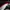 Tracktop Adidas Club Ac Milan photo 8