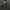 Carhatt wip cargo shorts photo 5