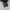 Danil patrick gym shorts photo 4