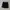 Danil Patrick Gym Shorts