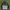ADIDAS CAMO SERRATED HOODIE Warna kombinasi photo 2