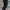 tricor military cargo long pants #FBLP83 photo 4
