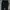 511 Tactical Cargo Long Pants #FBLP186