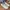 Nike Air Force 1 High Triple White Stitch Blue photo 2