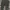 dickies duck canvas carpenter long pants #FBLP102 photo 4