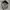 y2k Studed Cadethat  photo 8